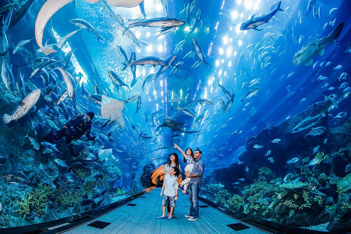 Private Half day Dubai City Tour with Dubai Mall shopping, Aquarium & Zoo, Burj Khalifa 124/125th floor visit & Musical Fountain Show - cover photo