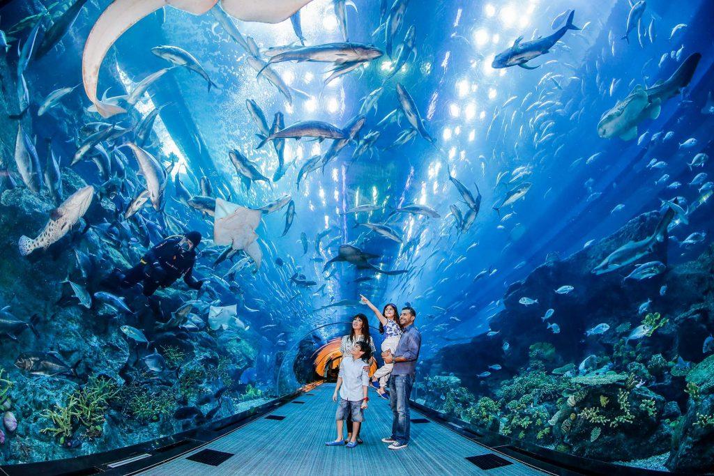 Dubai Mall Shopping, Underwater Aquarium & Zoo, Burj Khalifa 124/125th floor & Musical Fountain Show with Private Transfers - photo 5