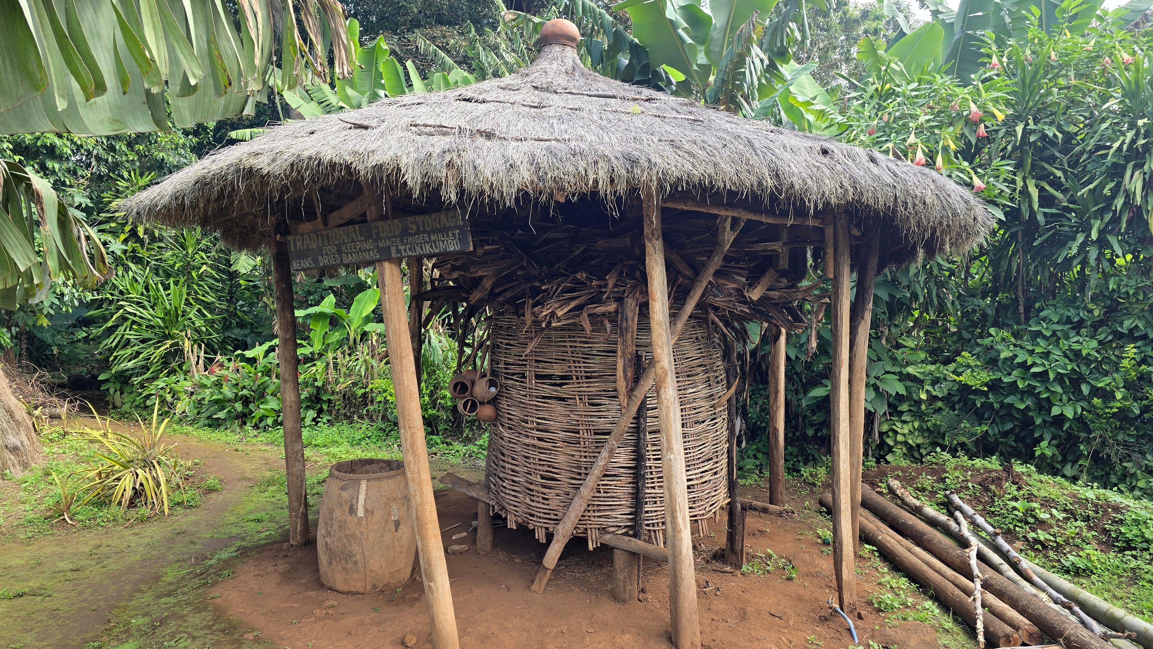 Kilimanjaro: Marangu Day Trip | Waterfalls | Coffee Tour & Chagga Culture - photo 4