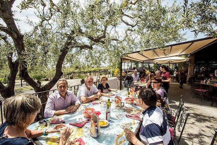 Pompeii, Herculaneum, Mt Vesuvius, Winery Tasting & Lunch pack - photo 5