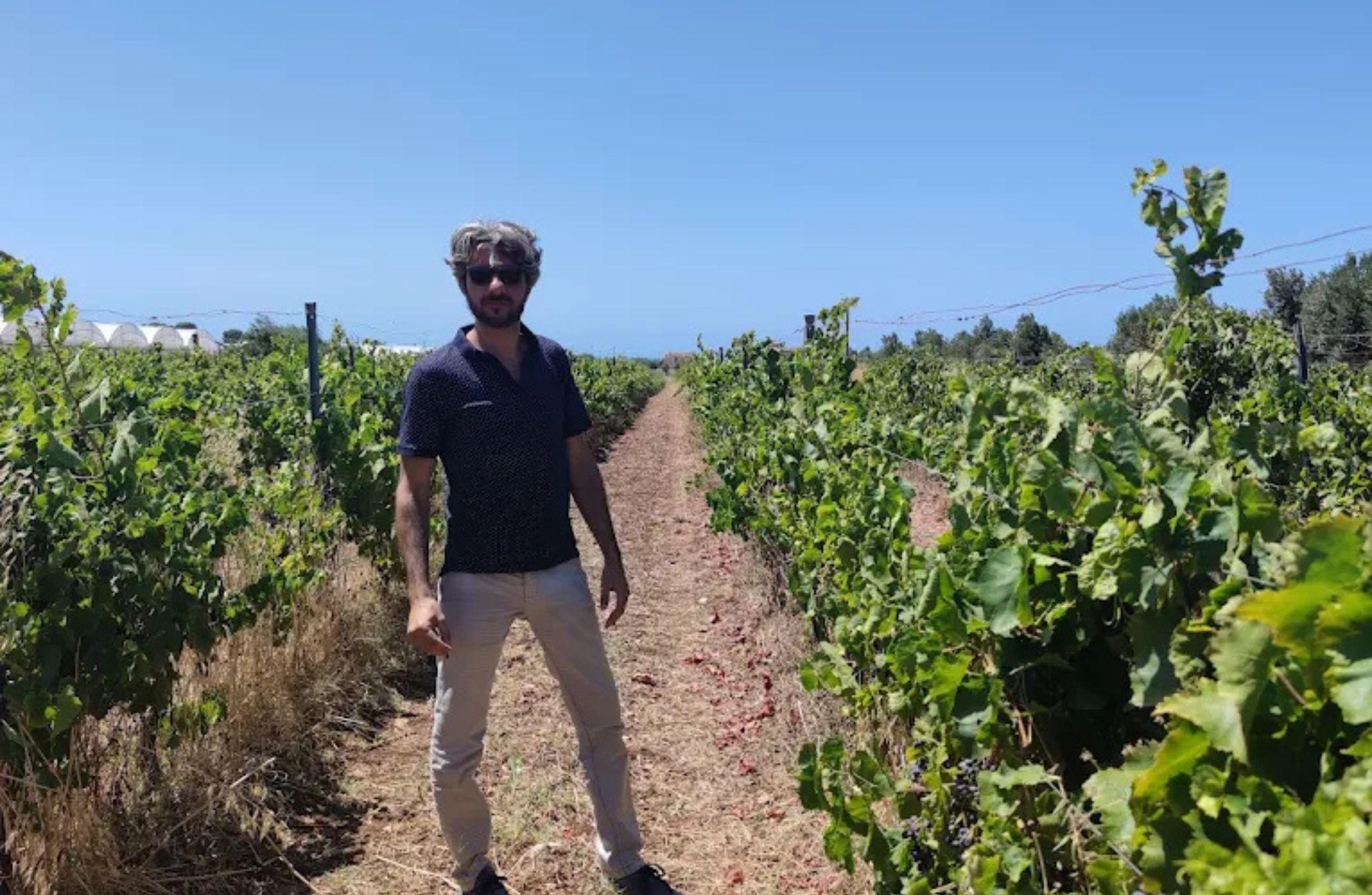 Winery Tour with Wine Tasting & Local Food near Ragusa - cover photo