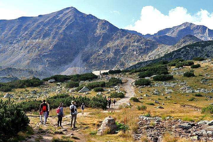activity image