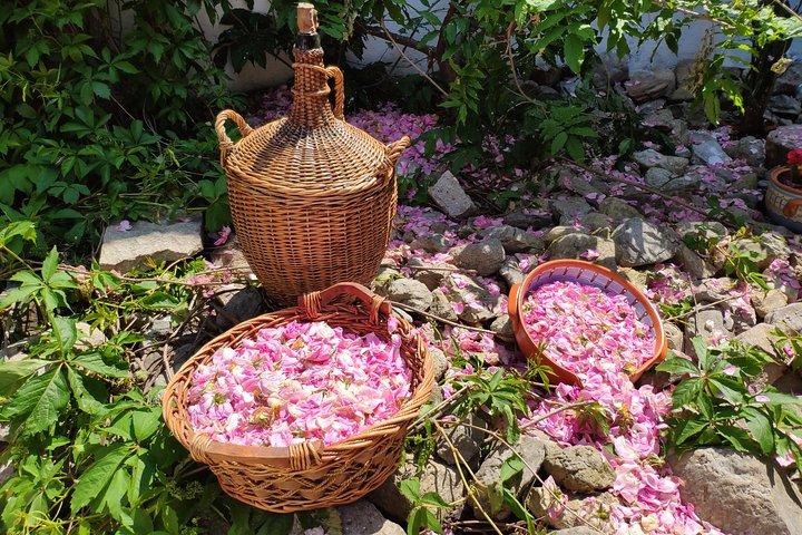 Rose Workshop & Leavening of Authentic Yoghurt - cover photo