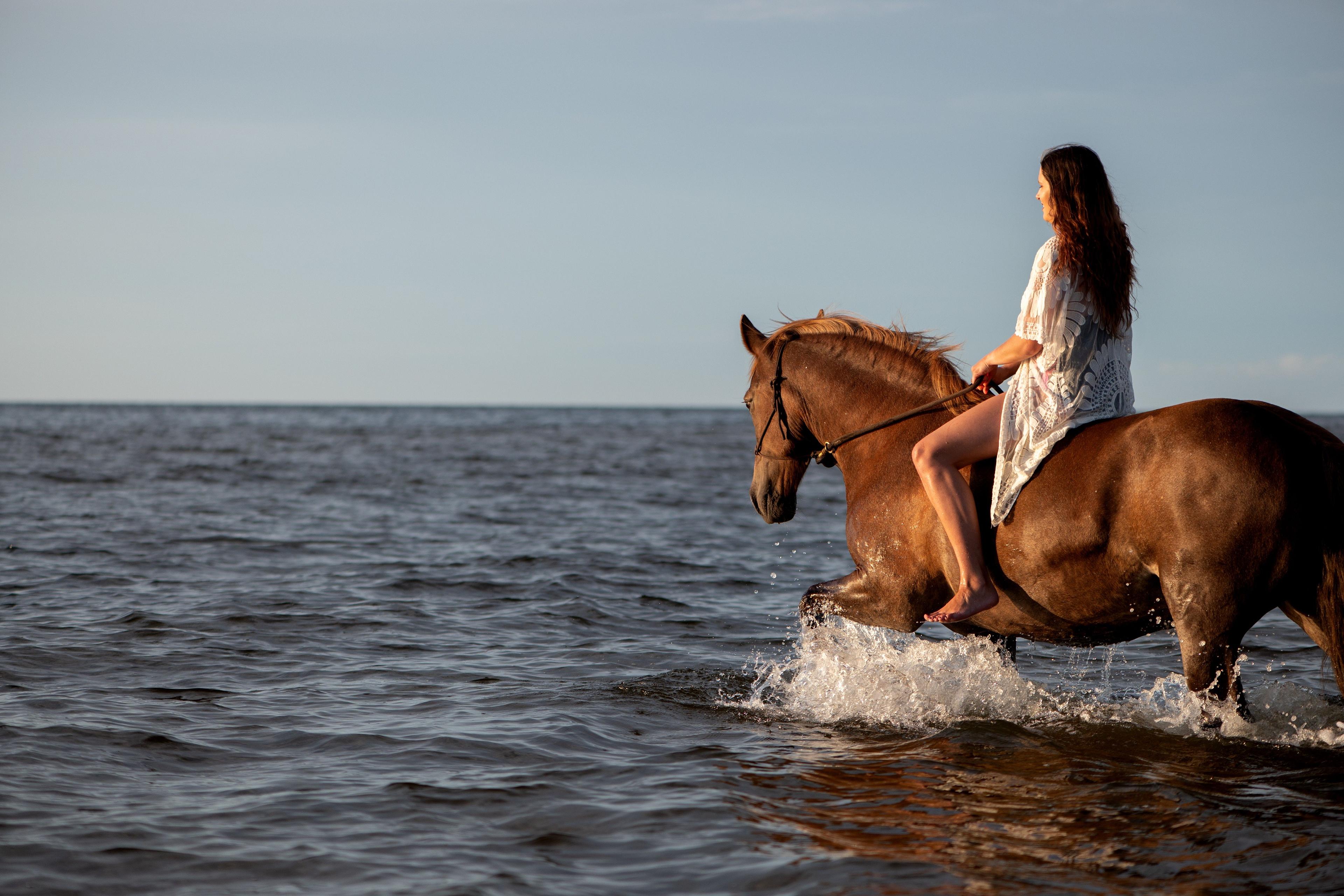 Horseback Riding Tour Marsa Alam with Option Horse Swimming - photo 5