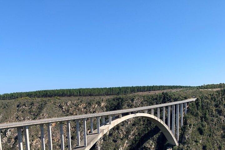 4-day Garden Route Private Tour from Cape Town to Addo Safari - photo 4