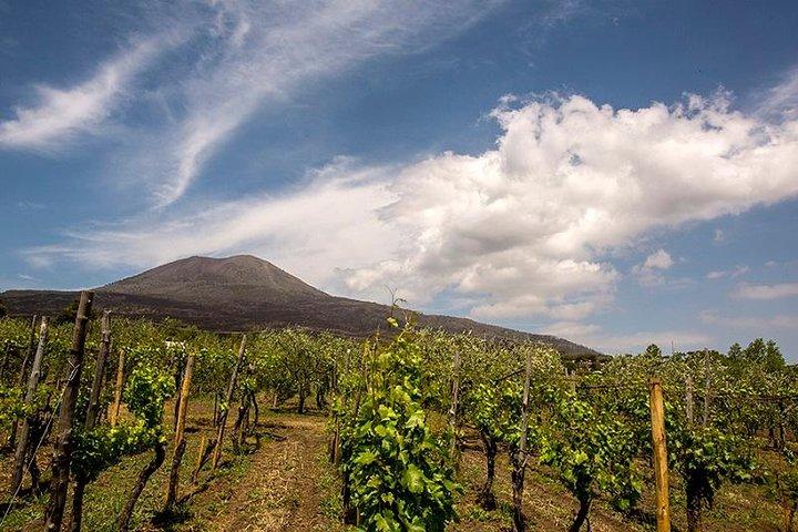 Vesuvio Gran cono + Wine Tasting & Lunch + Transfer from Naples - photo 4