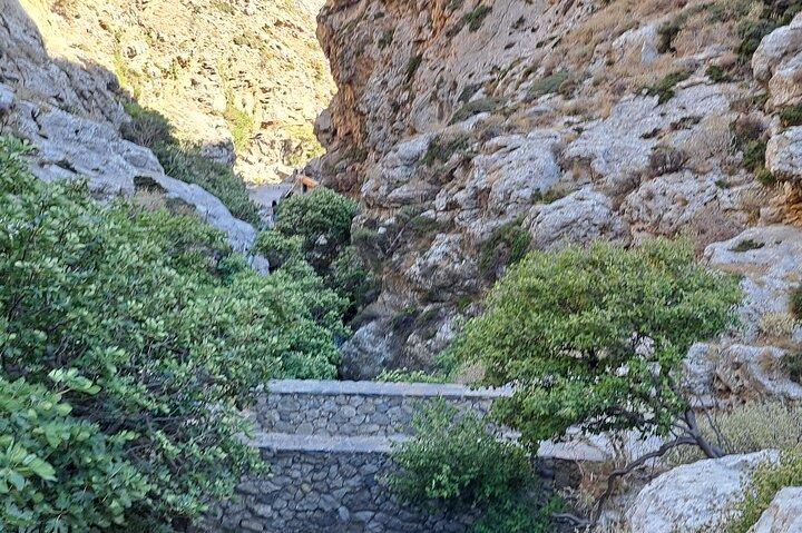 Kourtaliotiko Gorge and South Crete Private Tour  - photo 2