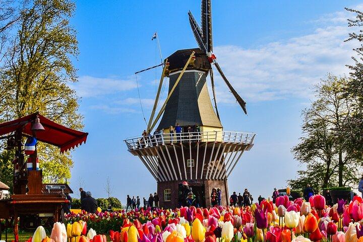 Delft and Keukenhof Gardens Tour - from Brussels  - photo 2