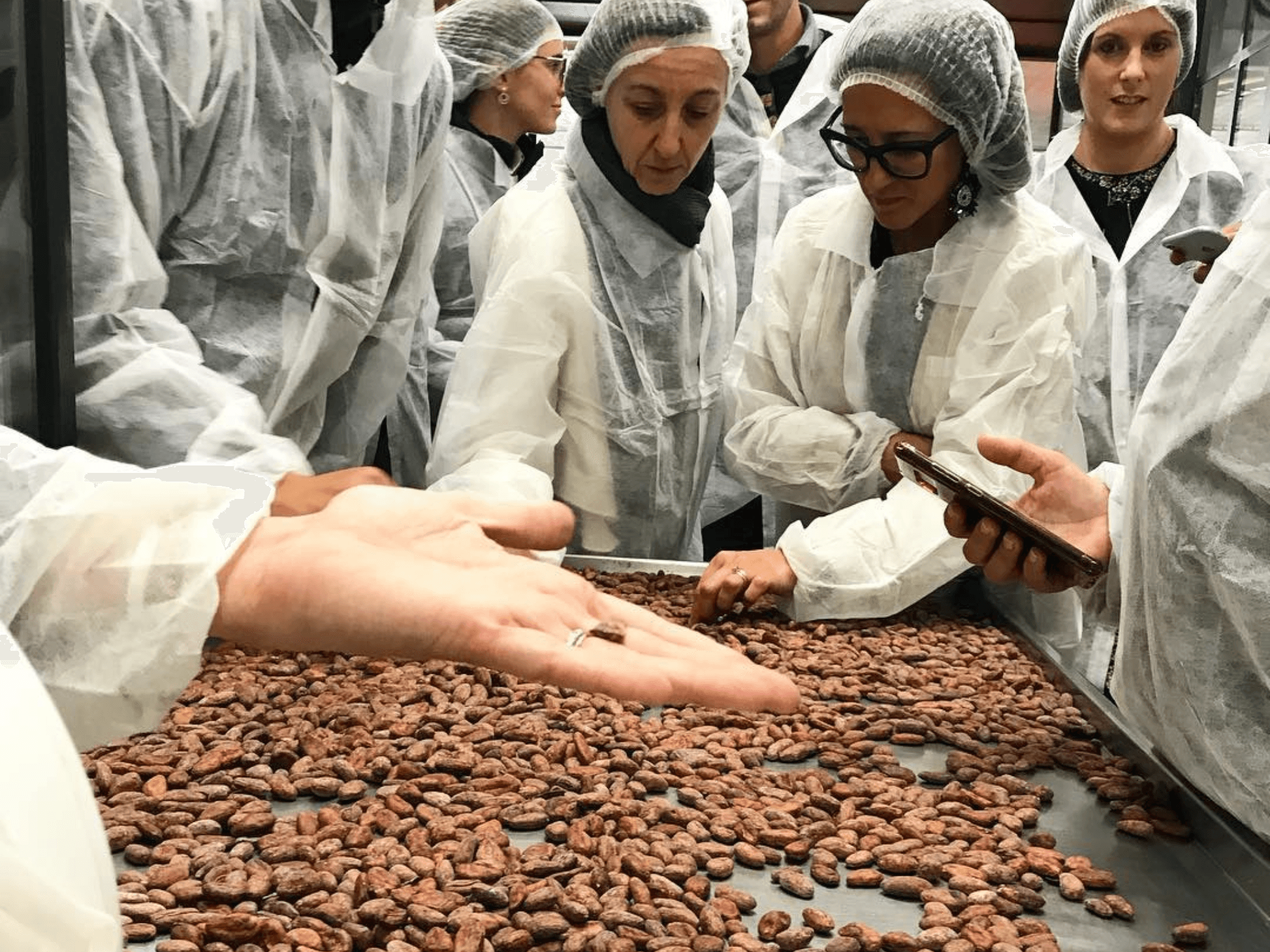 Chocolate Factory Tour & Tasting near Alessandria - photo 2