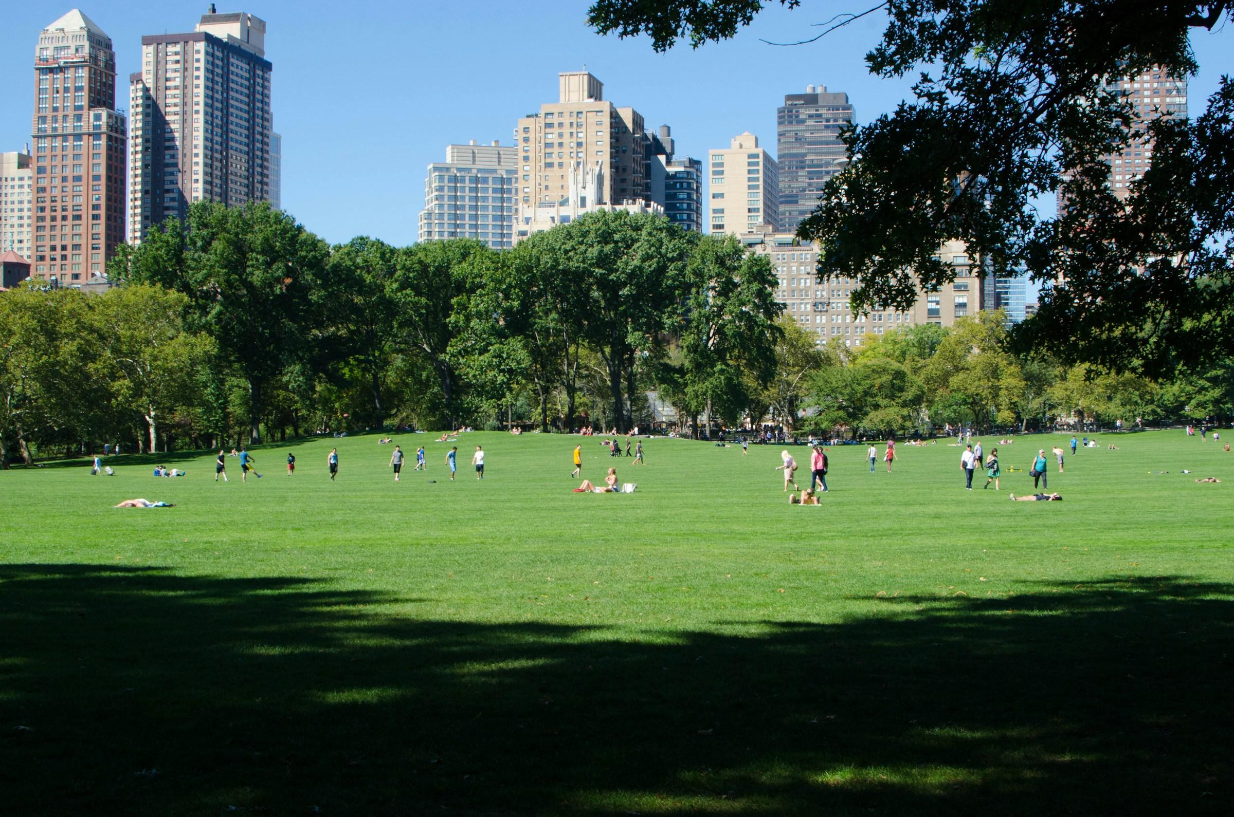 Central Park Self-Guided Audio Walk: Bethesda Terrace, Bow Bridge, Belvedere Castle and Seneca Village - photo 3