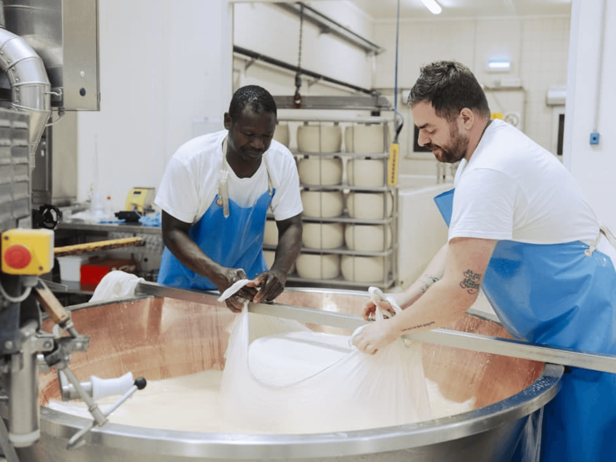 Parmesan Cheese Factory Tour & Tasting near Parma - cover photo