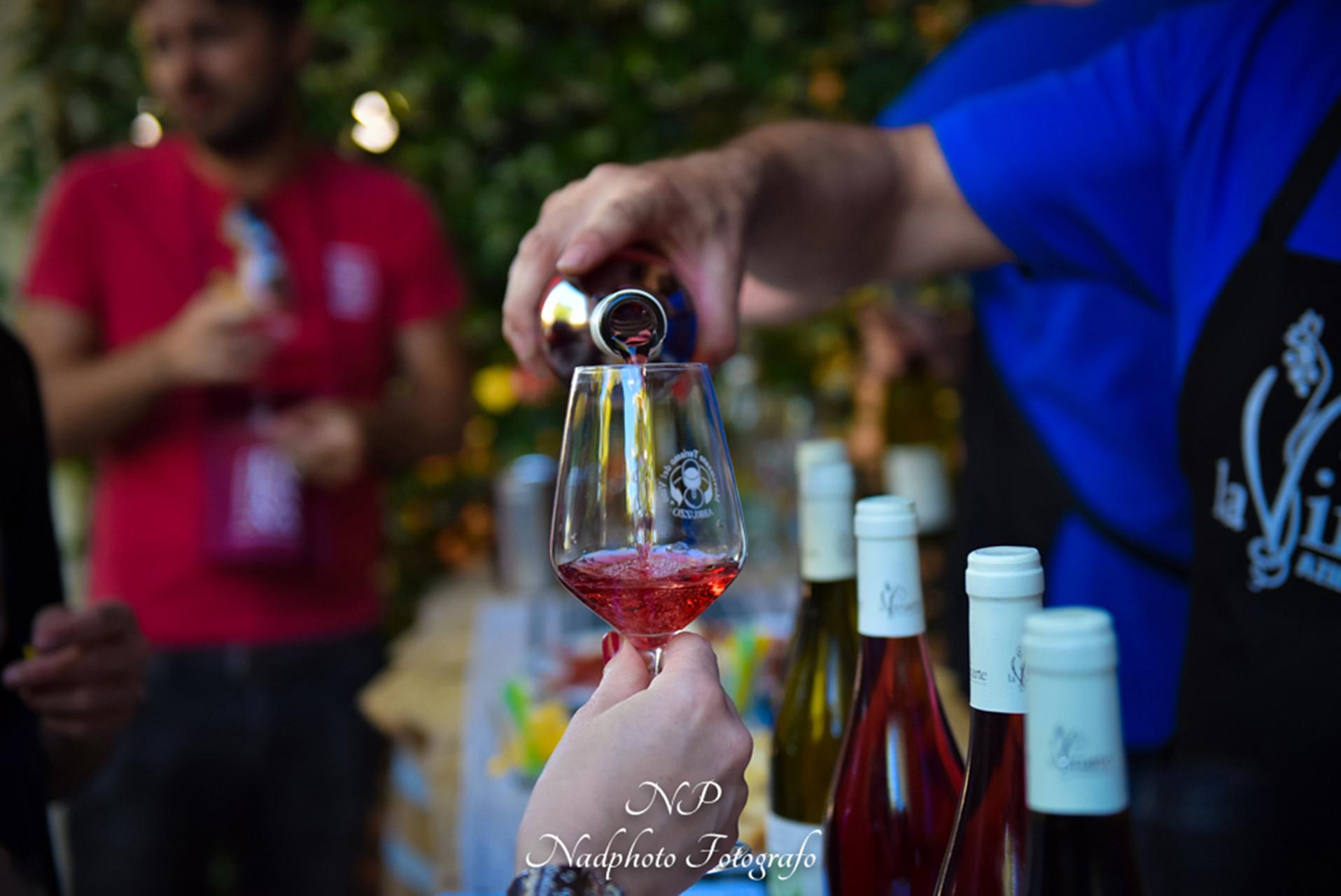 La Vinarte Winery and small Tasting - photo 2