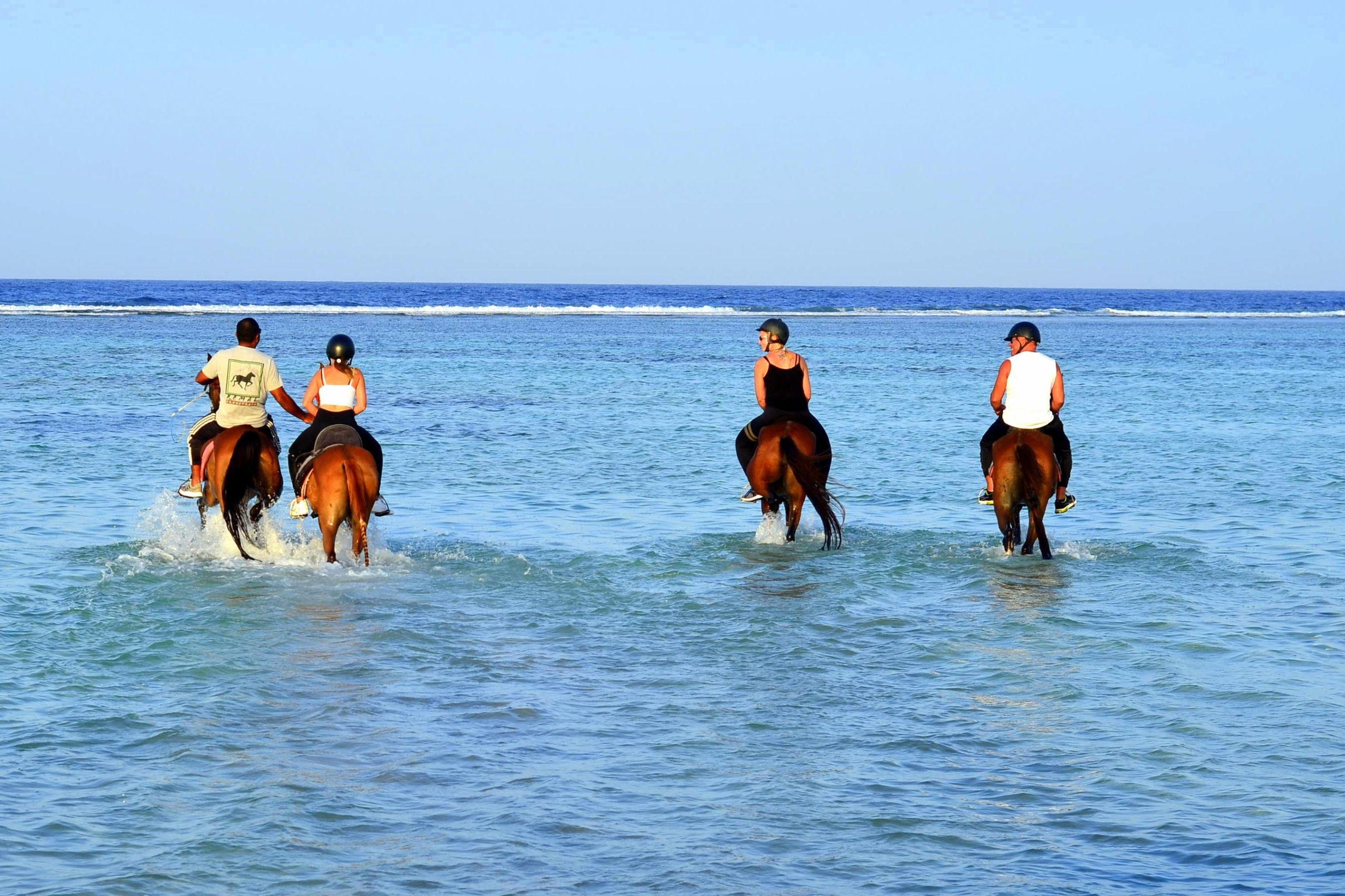1-Hour Sea Horse Riding Sharm El Sheikh Desert Safari - photo 5