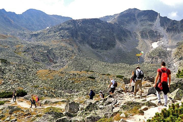 activity image