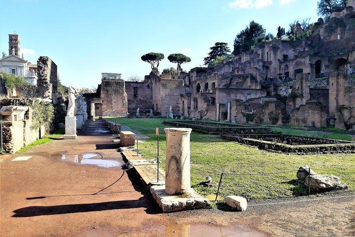 Rome in a Day Private Combo: Colosseum, Vatican & Lunch Included - photo 5