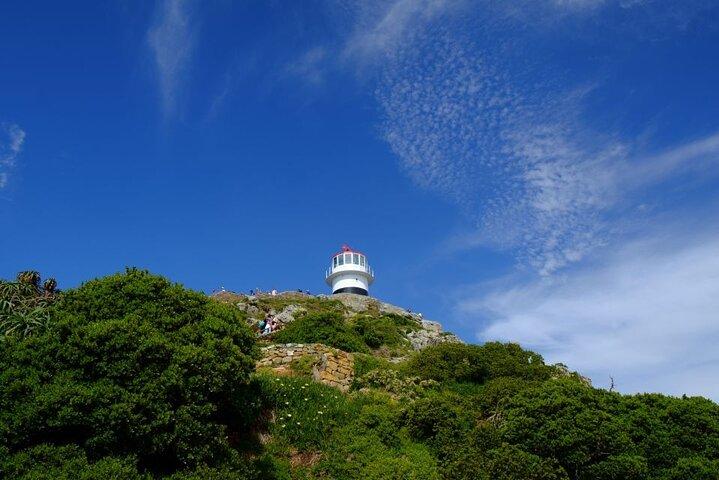 Cape Peninsula Tour  - photo 3
