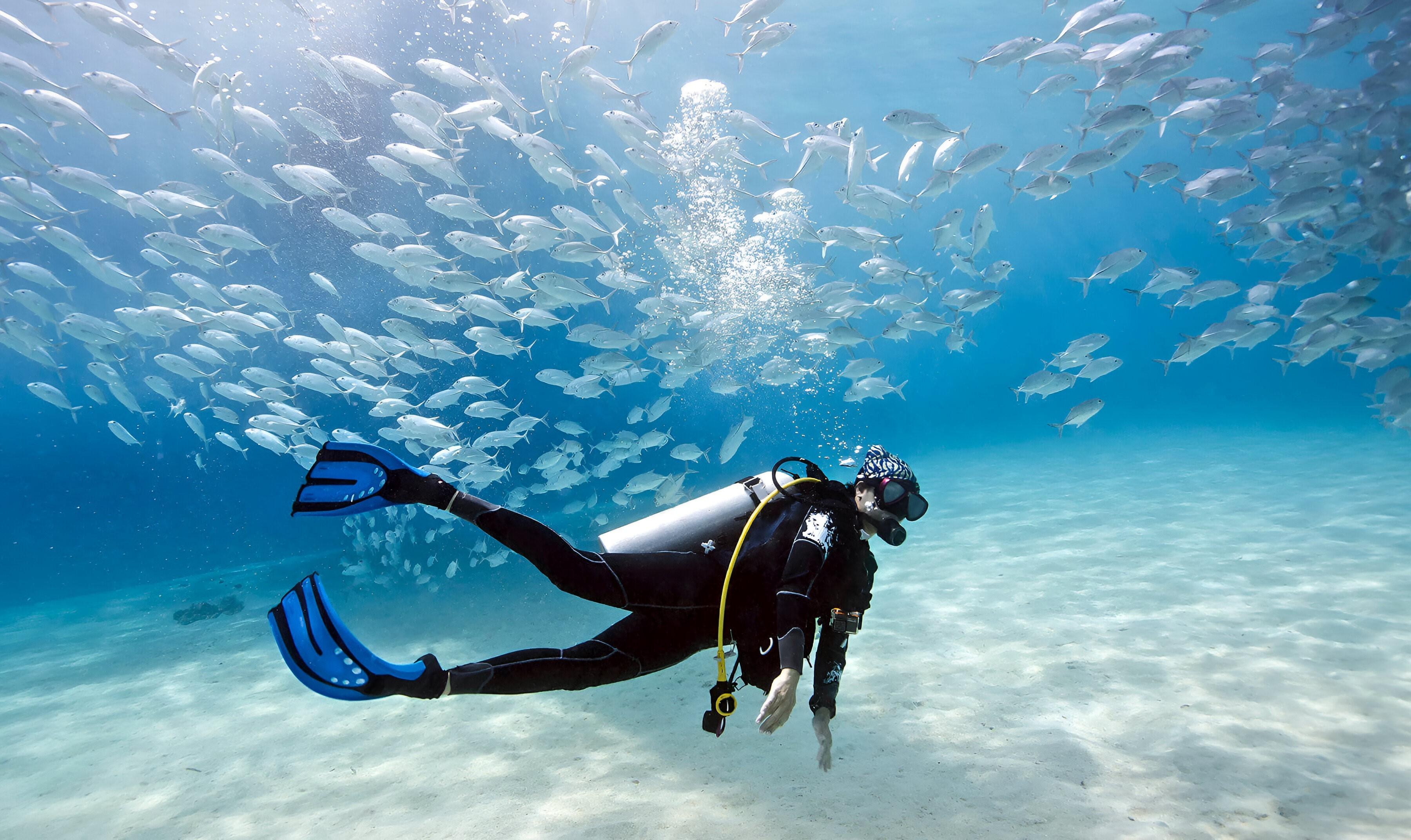 Basic Diver Session (Introductory Dive In The Open Sea) - photo 3