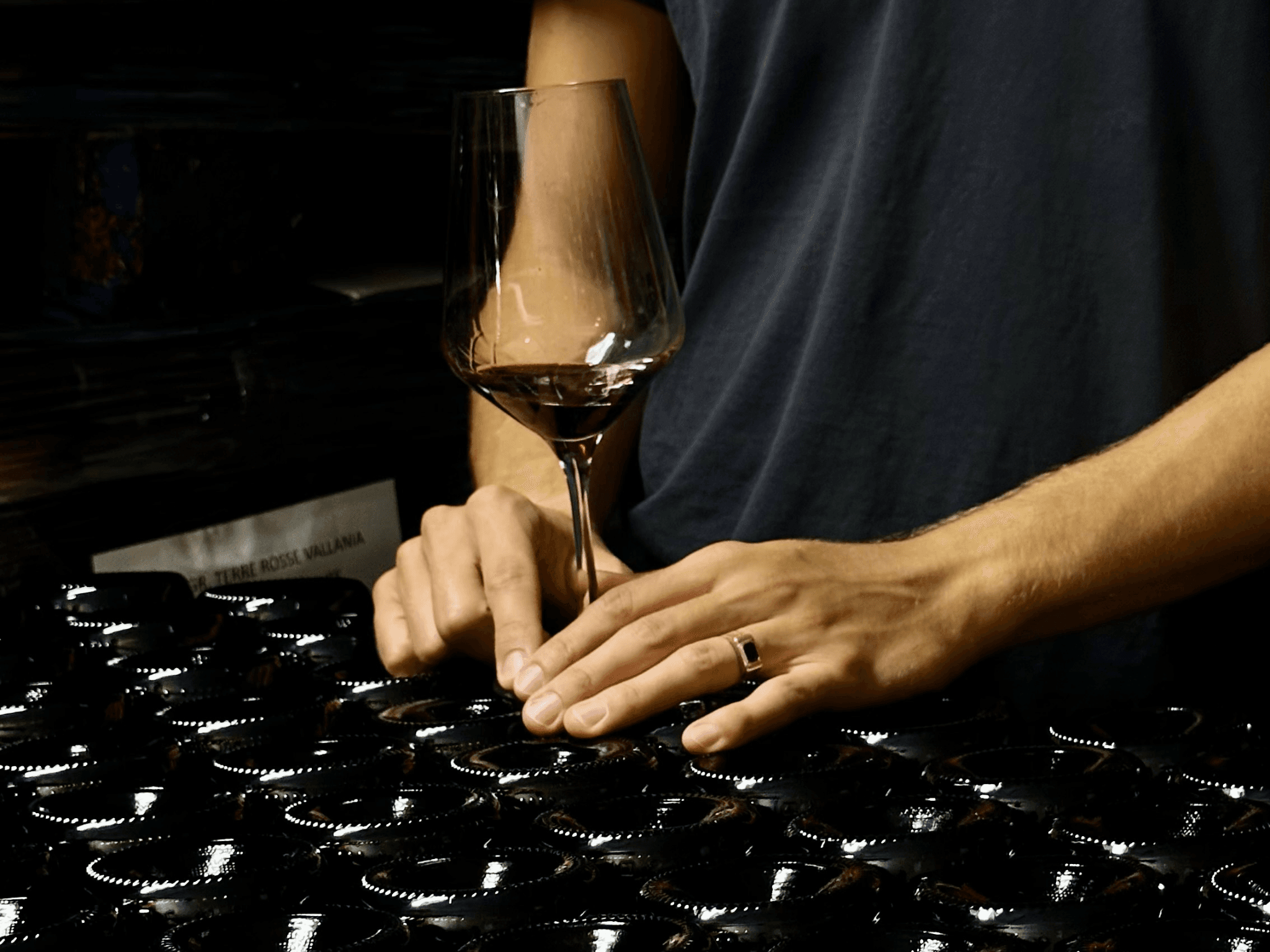 Boutique Winery Tour with Wine Tasting & Food in Bologna - cover photo