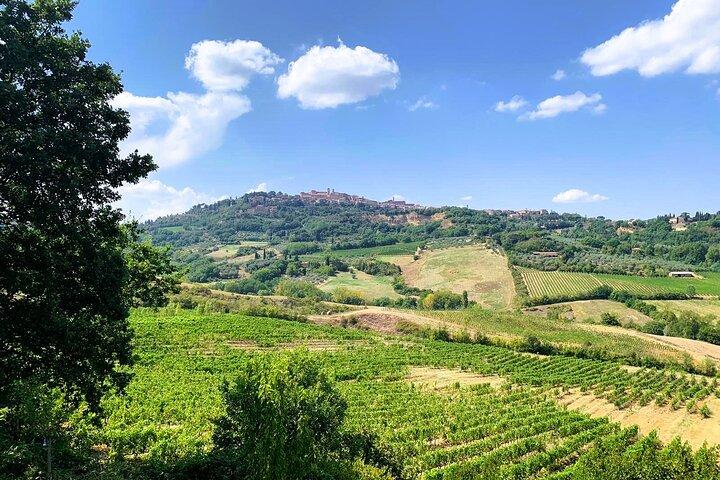 Rome to Montepulciano with Wine Tasting + Stop at Orvieto  - photo 4