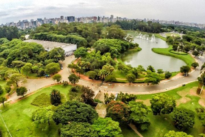 São Paulo Major Tourist Attractions Private Tour: 8-Hour (Santos City Pick-up)  - cover photo