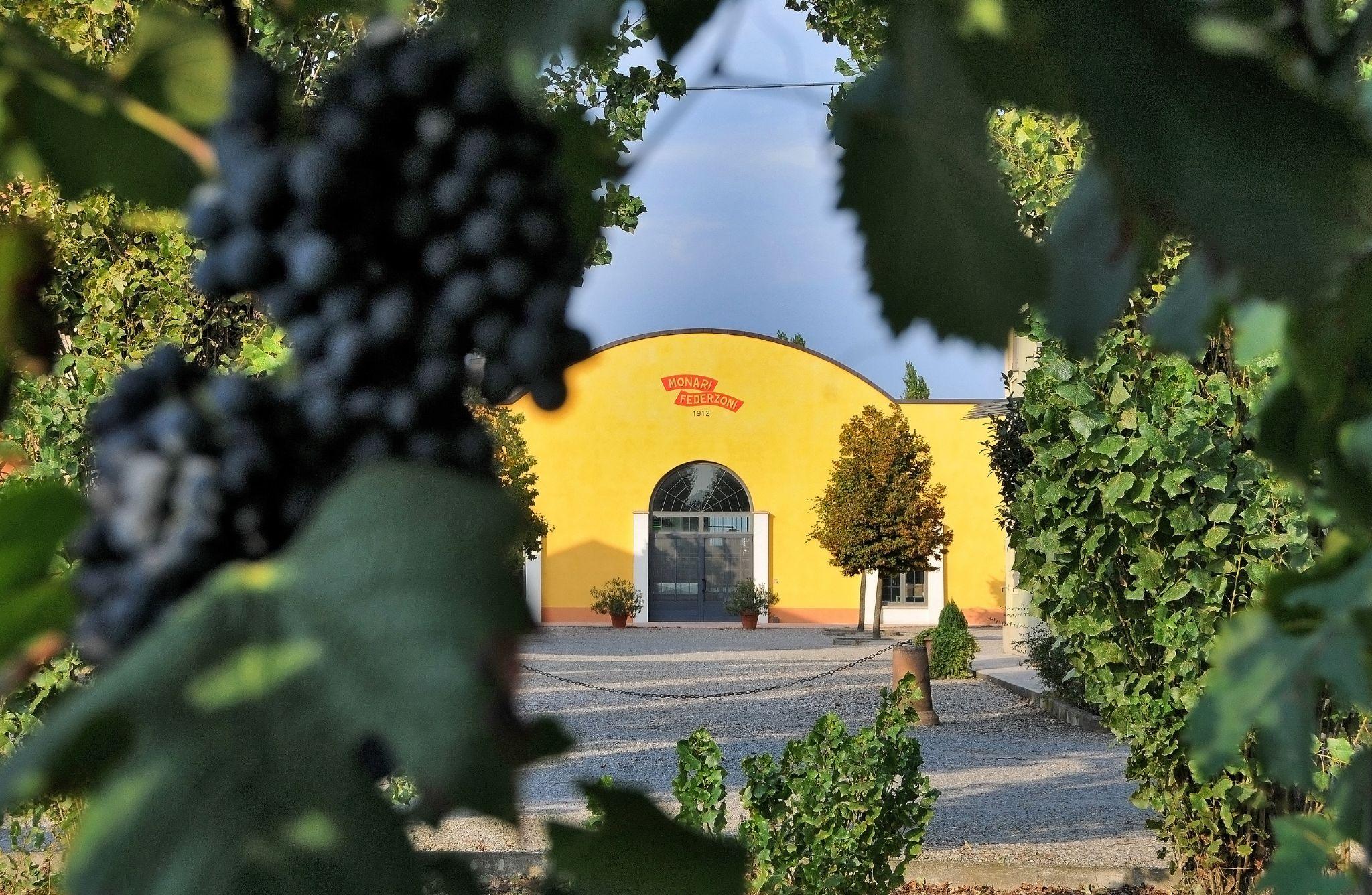 Balsamic Vinegar Tasting & Vintage Car Museum near Modena - photo 2