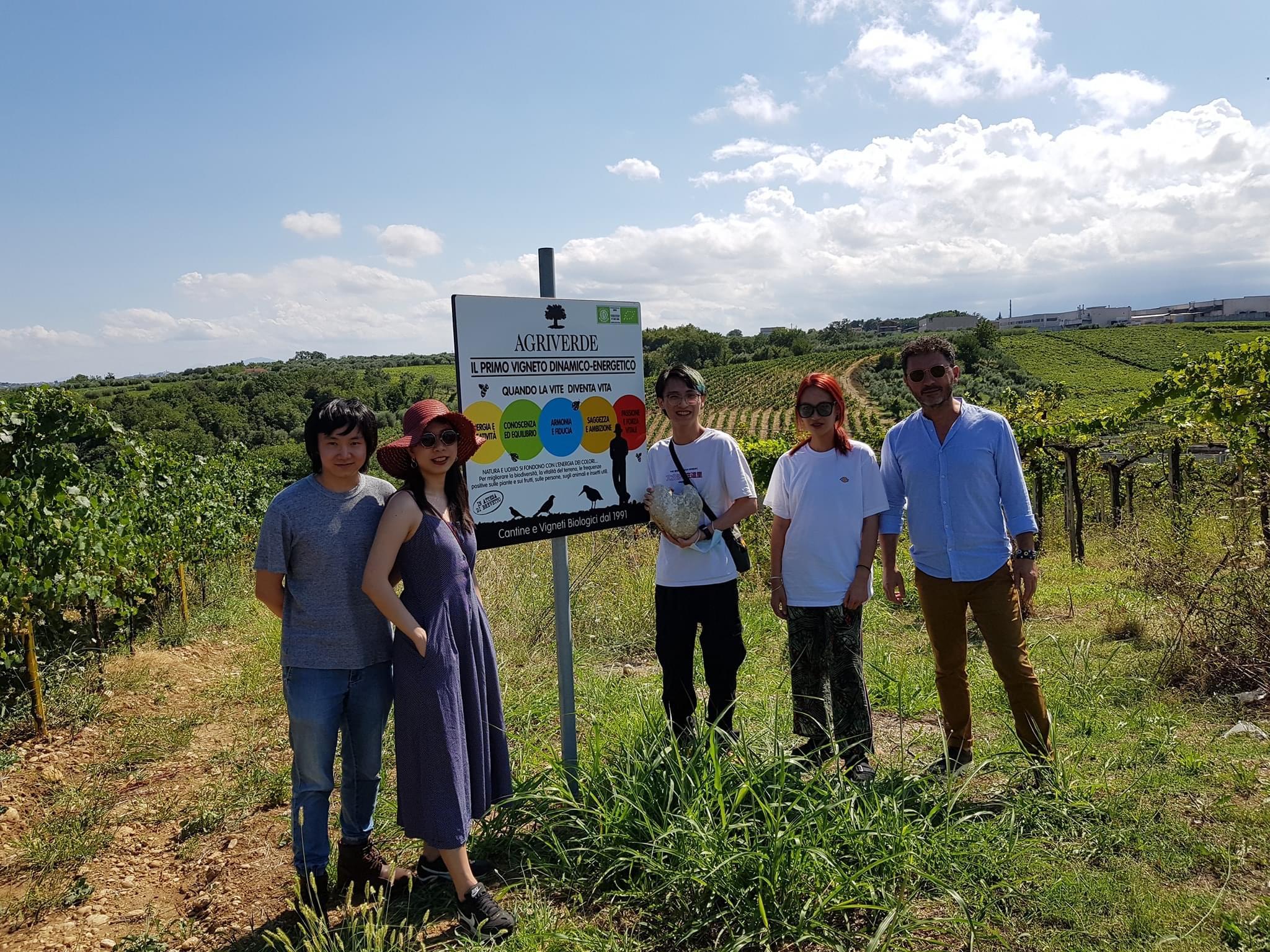 Visit the Vigna Madre winery and taste its wines - photo 5