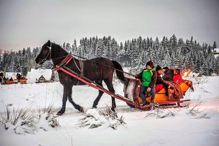 From Krakow; horse-drawn carriage with a bonfire sausage roasting - photo 2