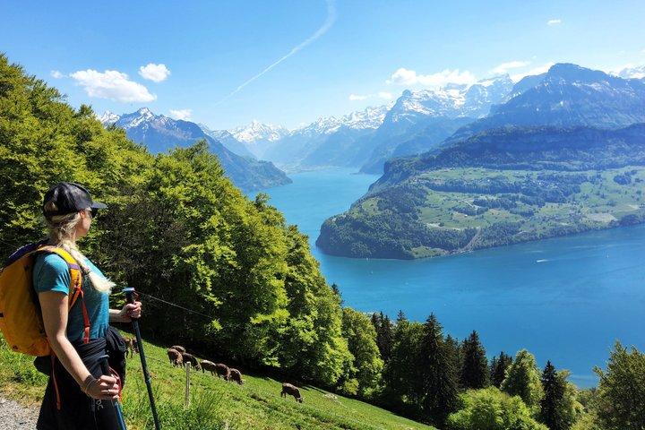 Spectacular Hidden Gem Day Tour Lake Views and Swiss Alps  - photo 2