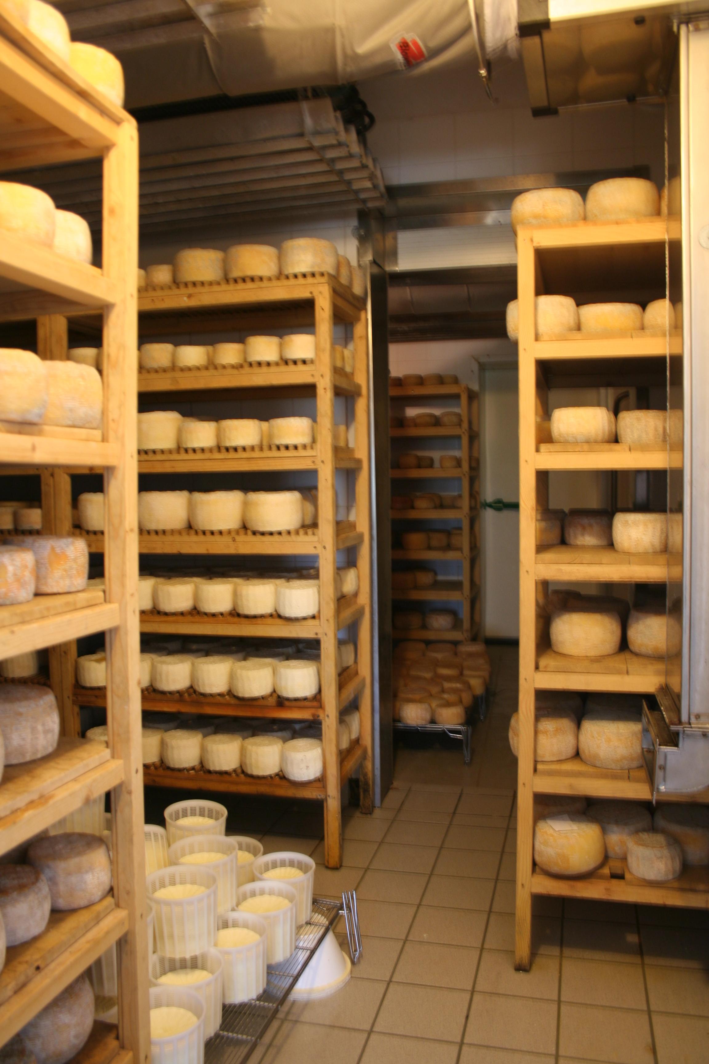 White gold from milk - visit to a typical Santa Caterina cheese dairy - photo 3