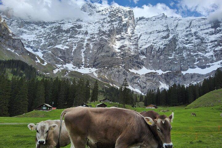Three hidden Swiss gems - cover photo