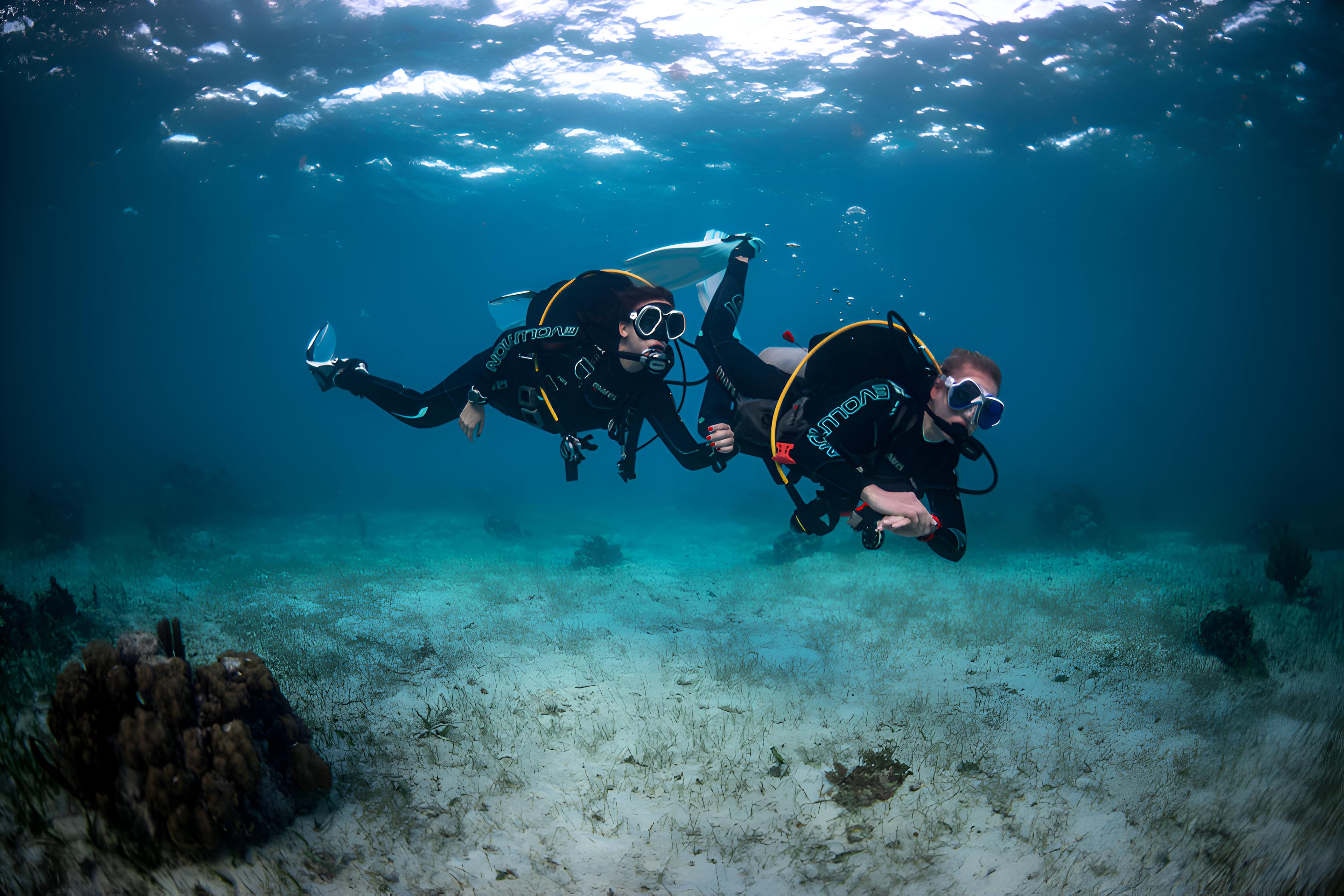Basic Diver Session (Introductory Dive In The Open Sea) - photo 5