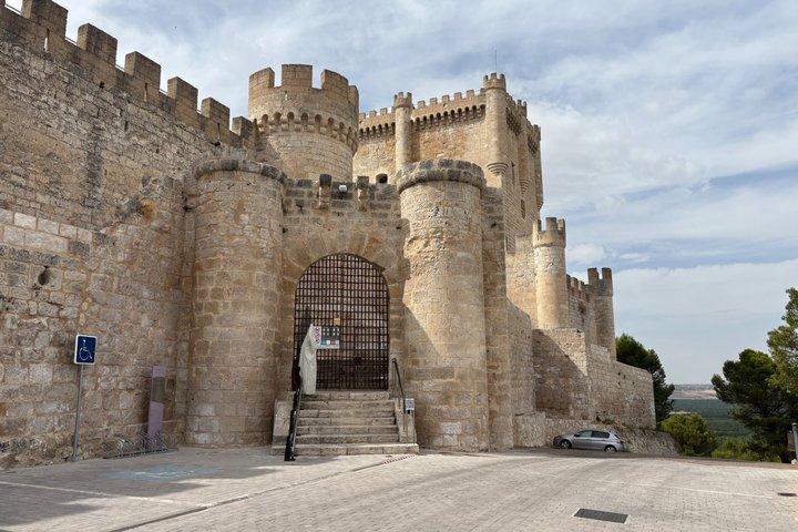 Private Tour Ribera del Duero and Emilio Moro with Official Guide - photo 3