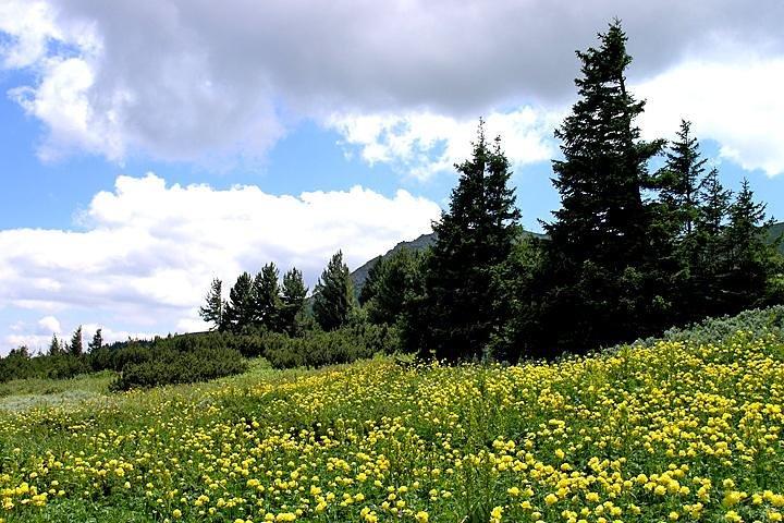 activity image