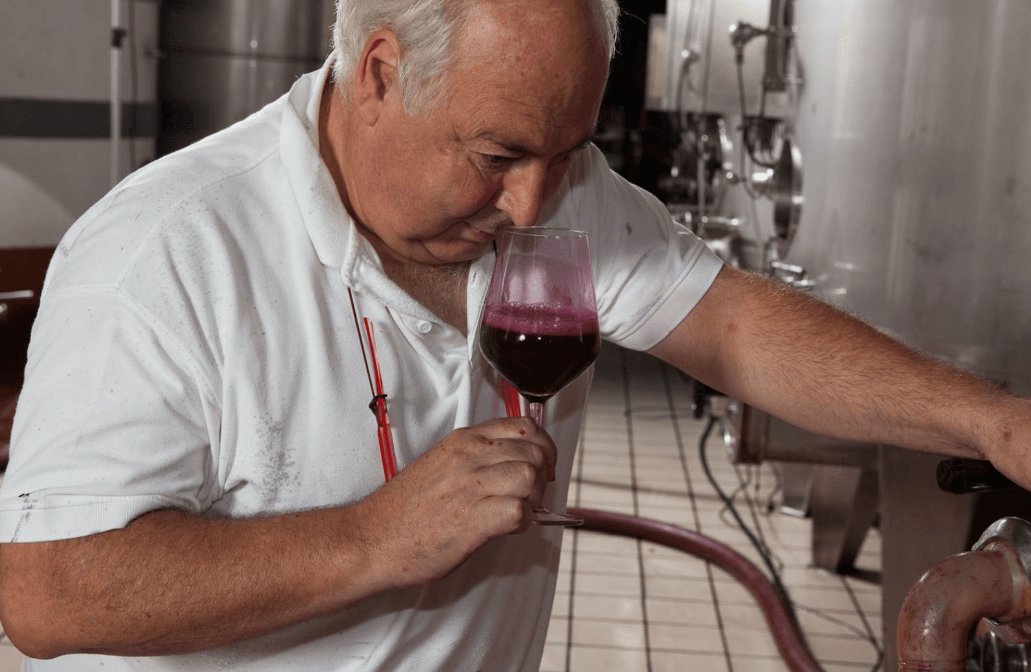 Winery Tour & Tasting on Padua Hills - photo 3