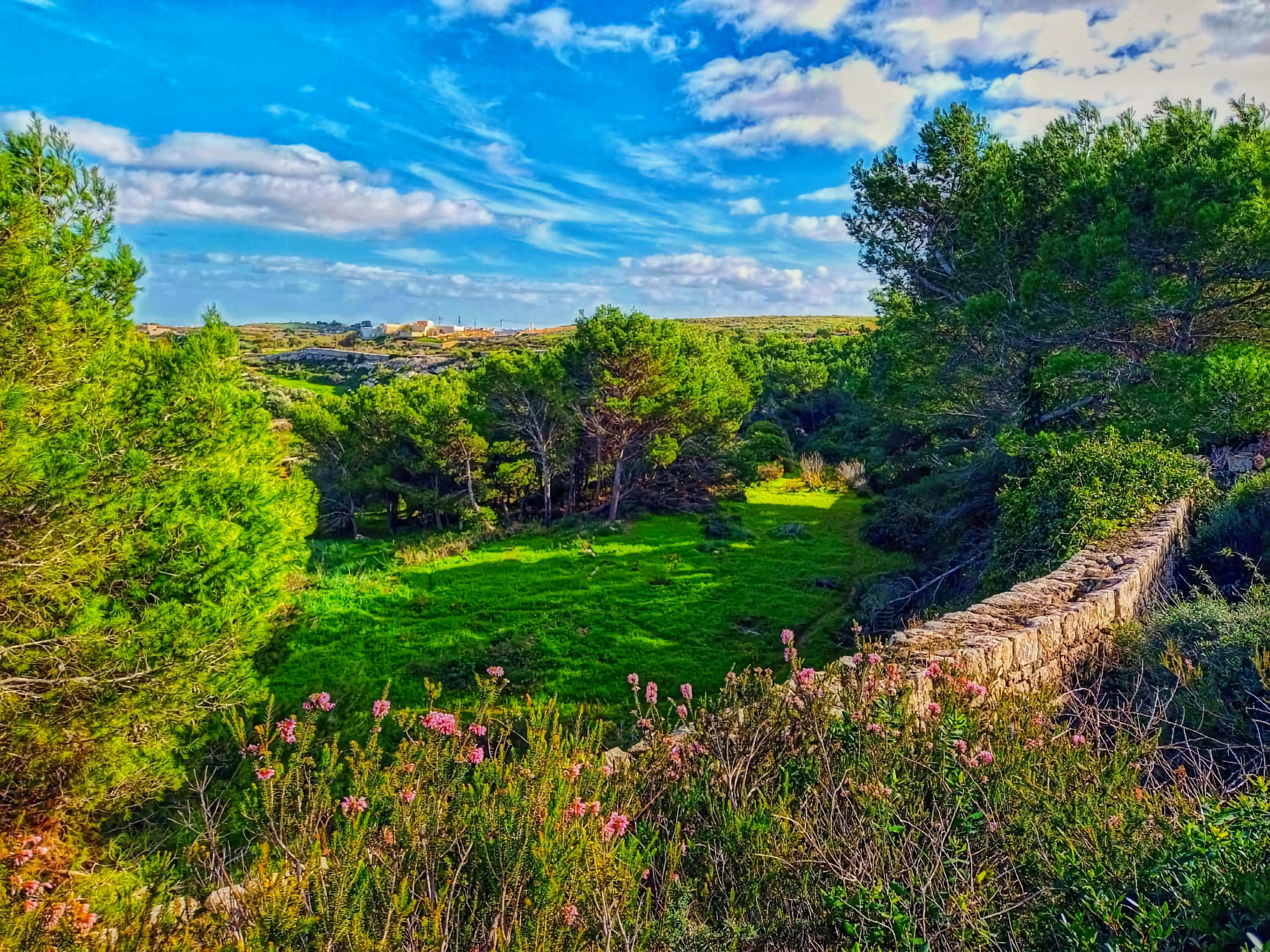 Chadwick Lakes, The Victoria Lines & Bingemma Valley Nature Walking Tour (Private Tour) - cover photo