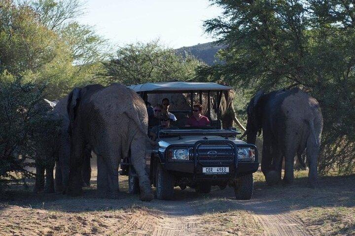 Cape Town-2 Days 1-Overnight Sanbona Big Five Safaris Game Reserv - photo 2
