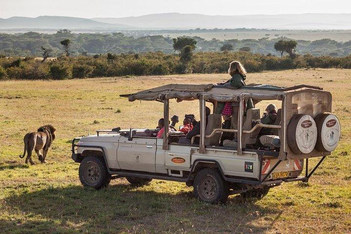 Cape Town 2-Days Luxury Overnight Big Five Safari game Reserve  - cover photo
