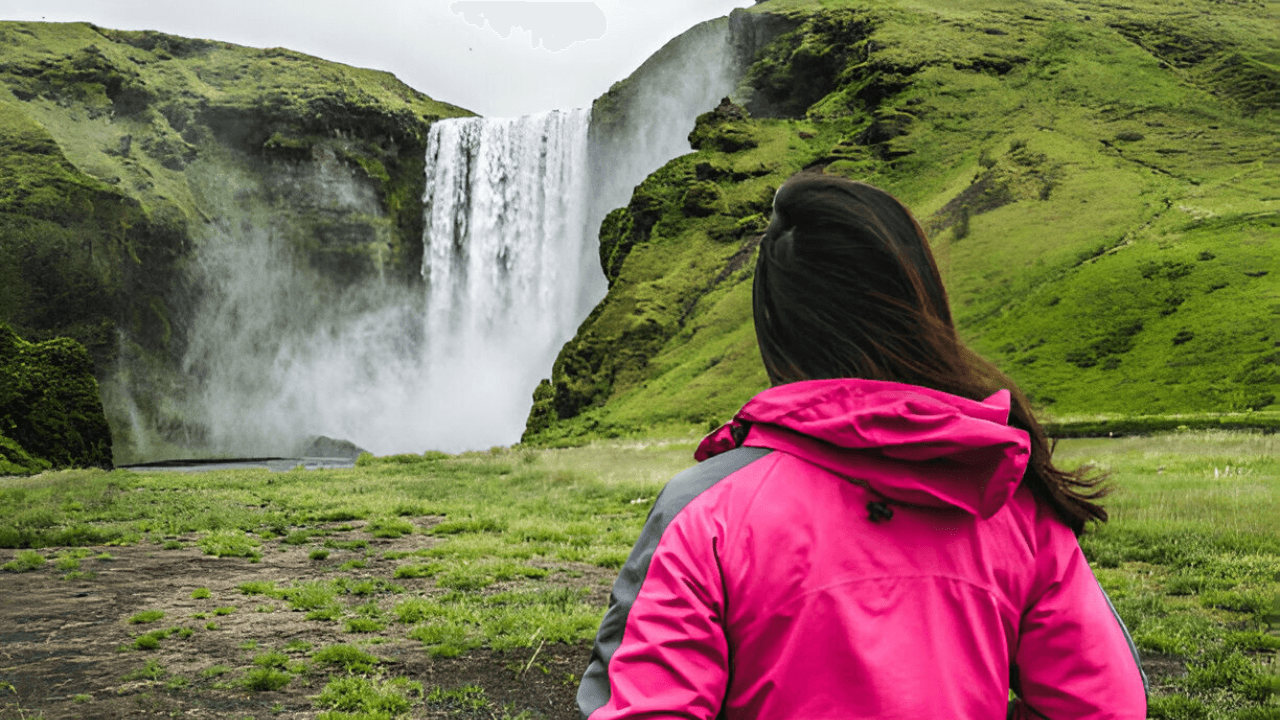 South Coast Adventure: Small Group Day Tour from Reykjavik - cover photo