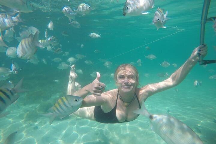 Full-Day Speedboat Tour in Angra and Islands with pick-up in Rio  - cover photo