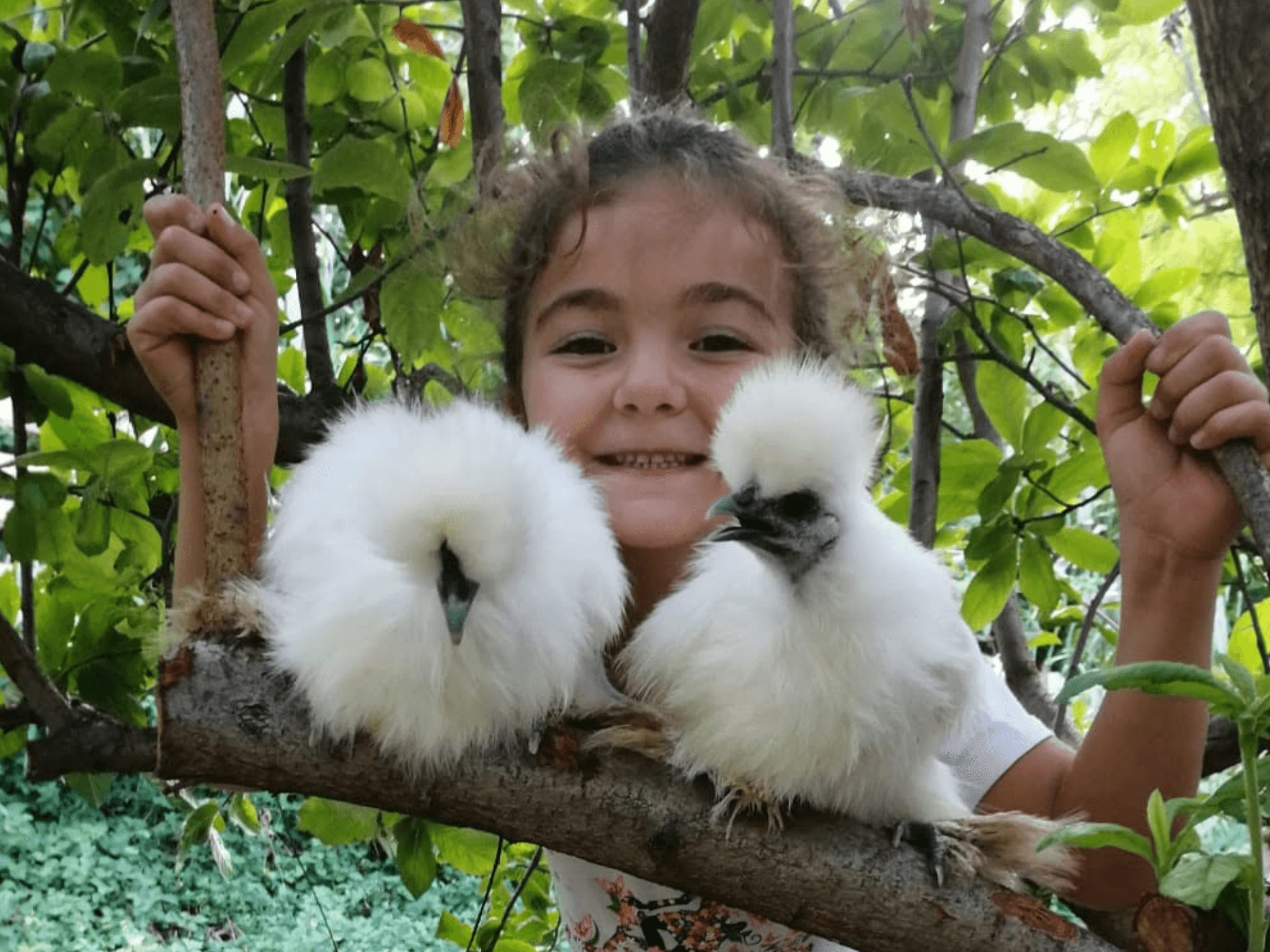 Hands-On Nature: Animals and Wild Herbs at a Pesaro Farm - photo 5