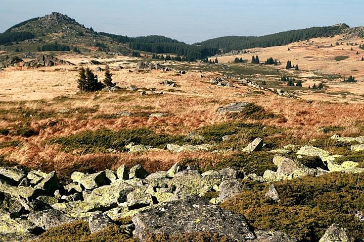 activity image