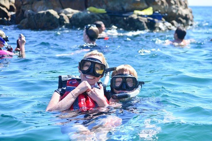 activity image
