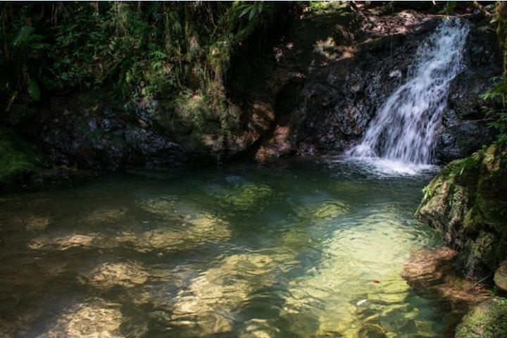 Immersion In An Untouched Ecosystem – Adventurous Full Day Hiking Tour - photo 4