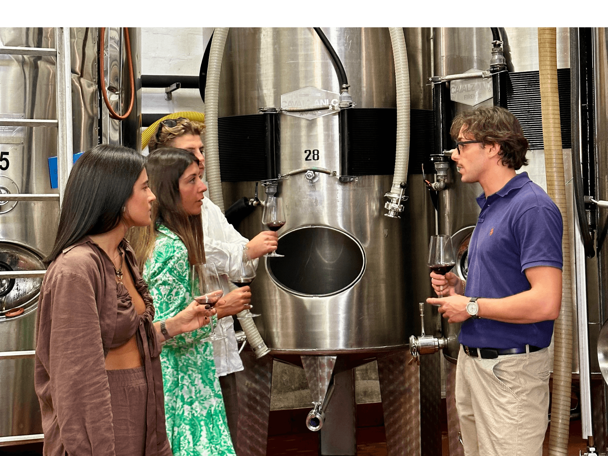 Boutique Winery Tour with Wine Tasting & Food in Bologna - photo 2