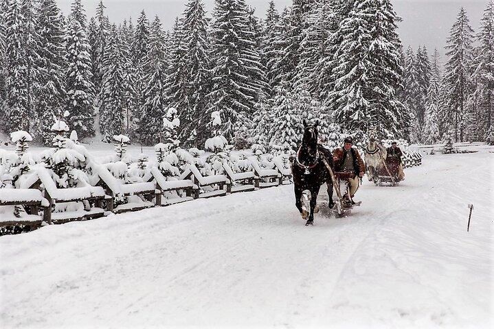 From Krakow; horse-drawn carriage with a bonfire sausage roasting - photo 4