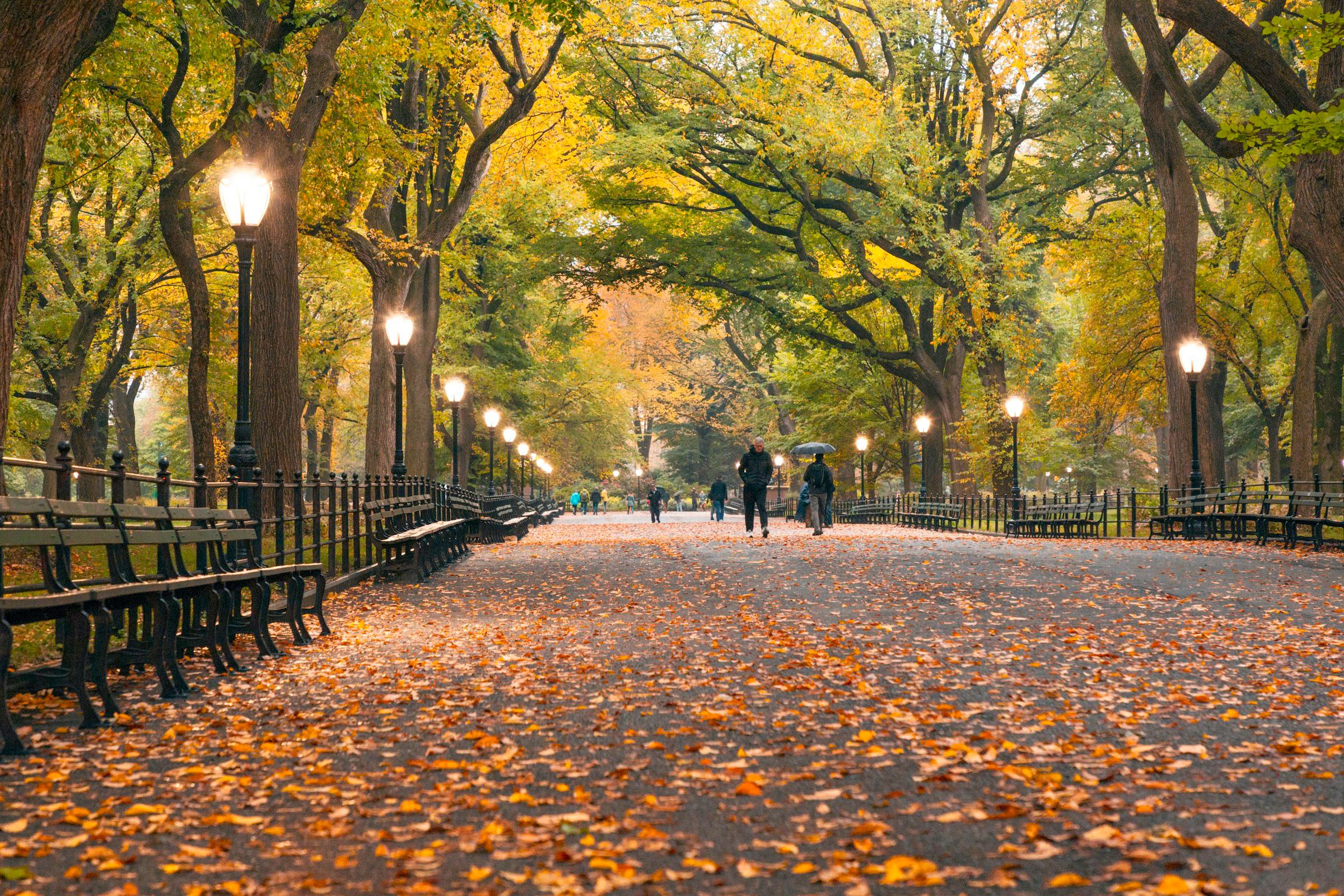Central Park Self-Guided Audio Walk: Bethesda Terrace, Bow Bridge, Belvedere Castle and Seneca Village - cover photo