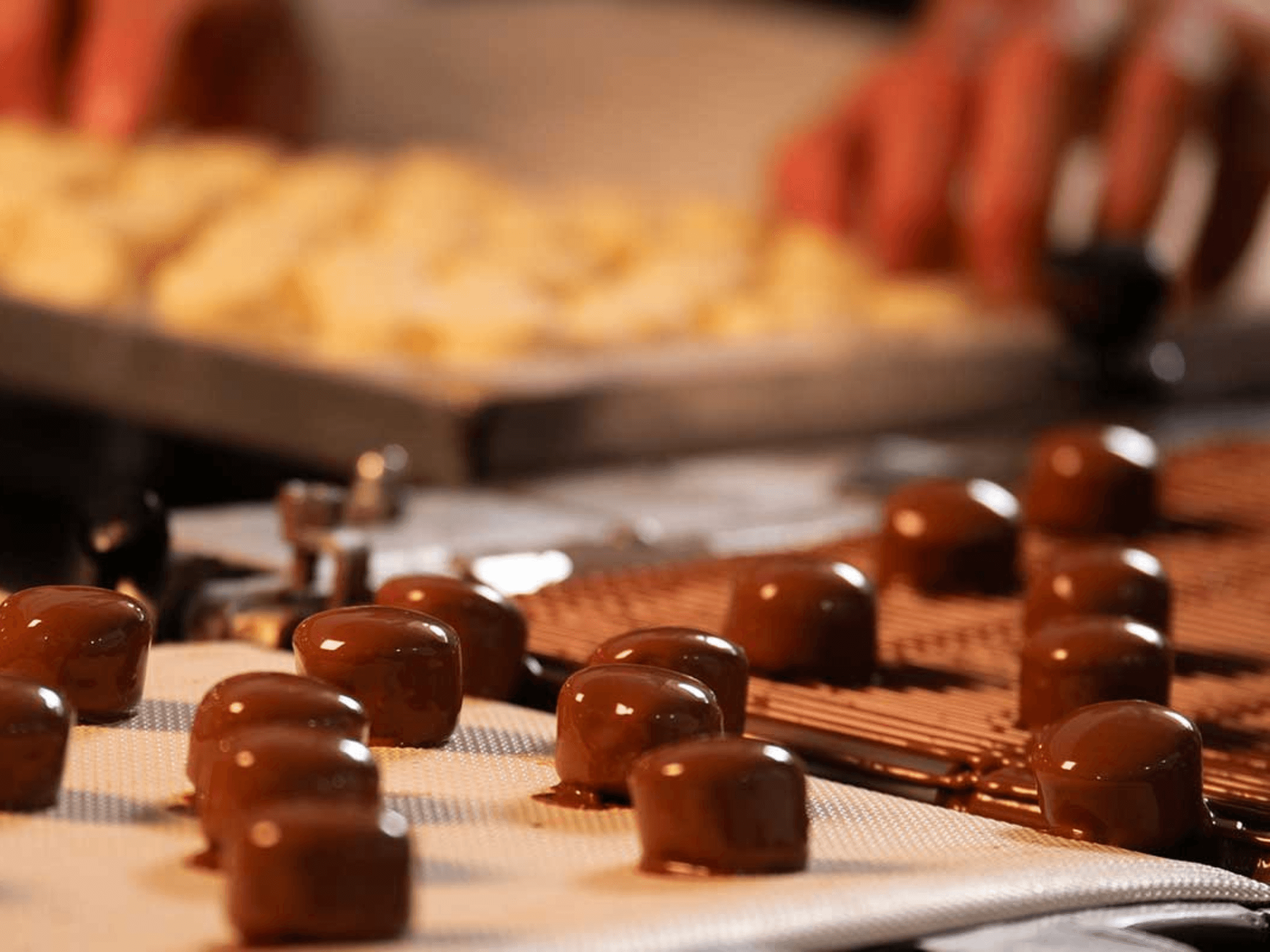 Chocolate Factory Tour, Workshop & Tasting in Perugia - cover photo