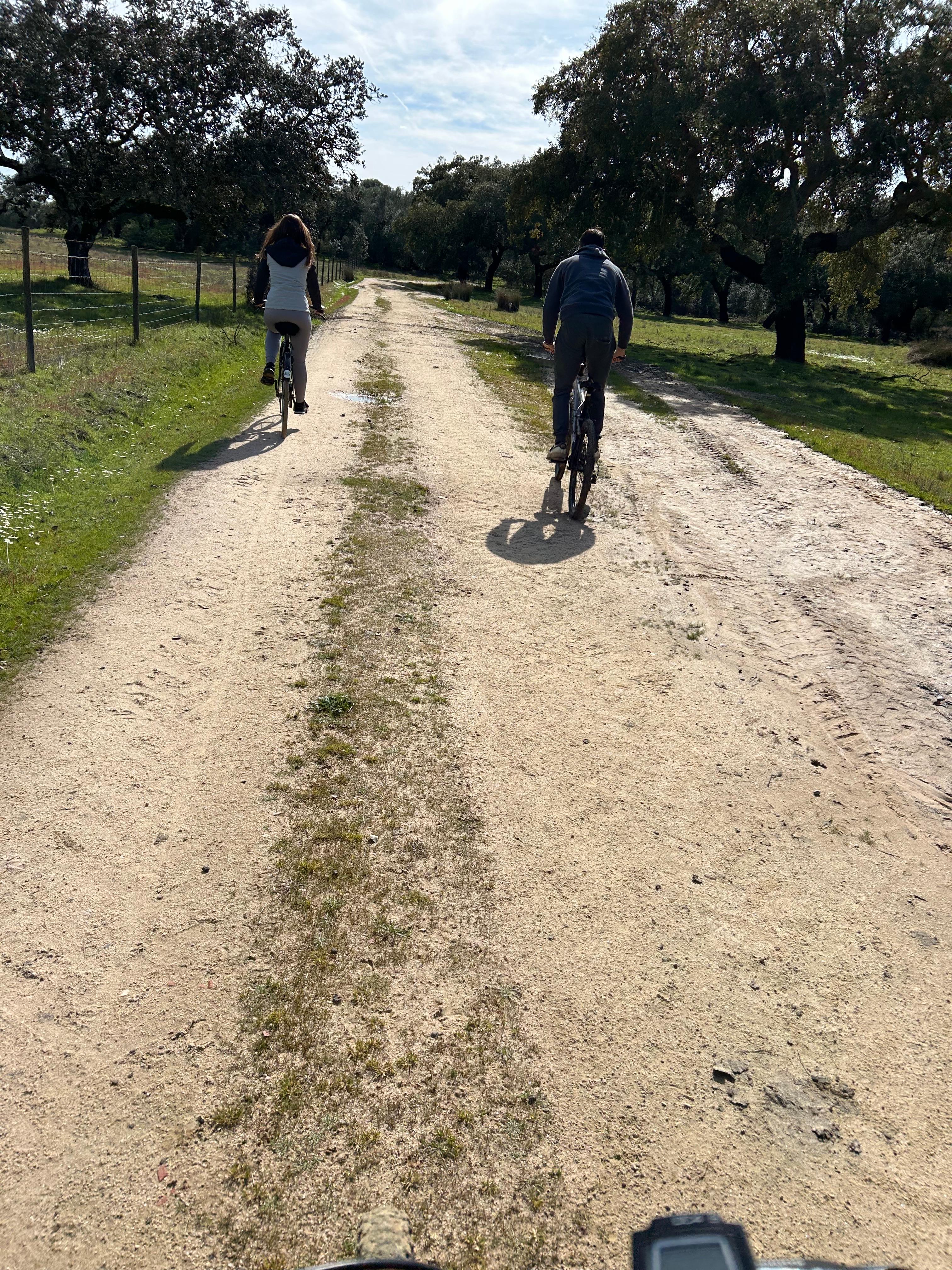 activity image