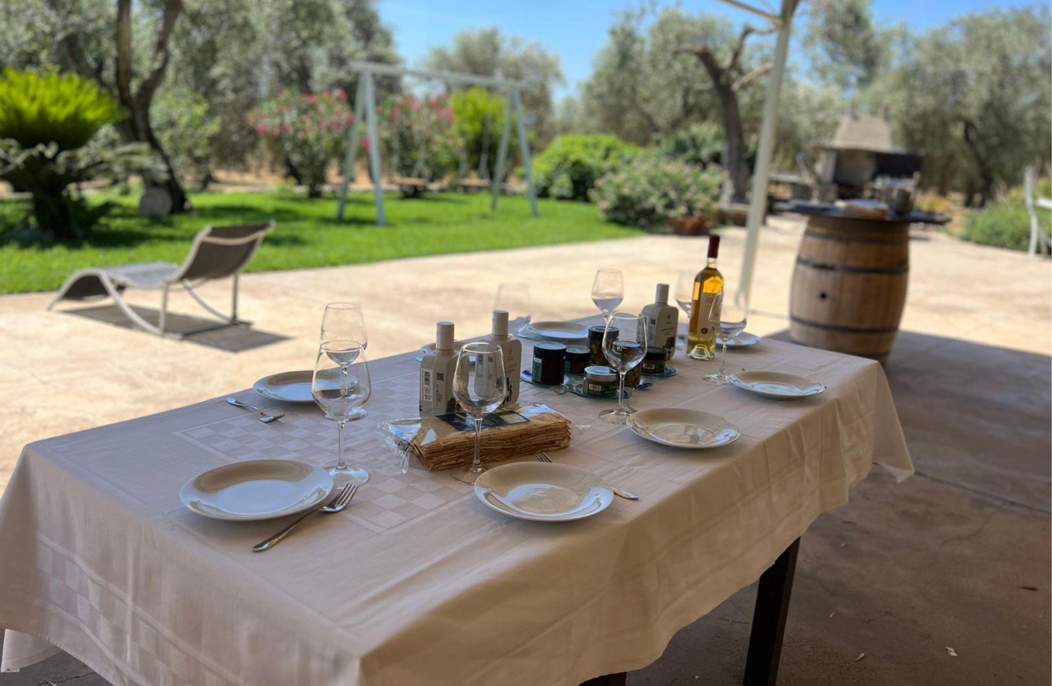 Olive Mill Tour with Olive Oil Tasting in Sassari - cover photo