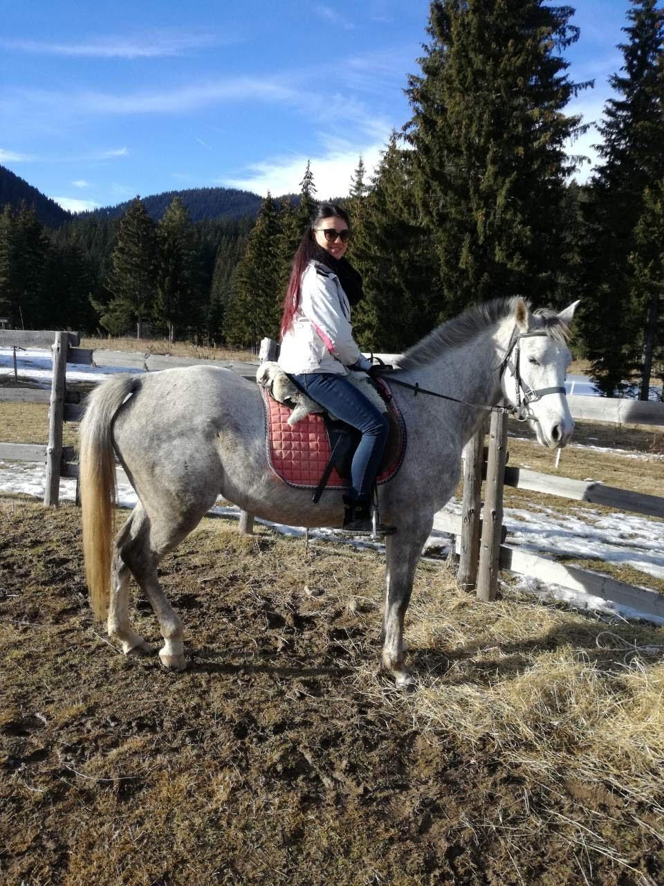 Horse Riding Lessons at the Heart of the Rose Valley - photo 3